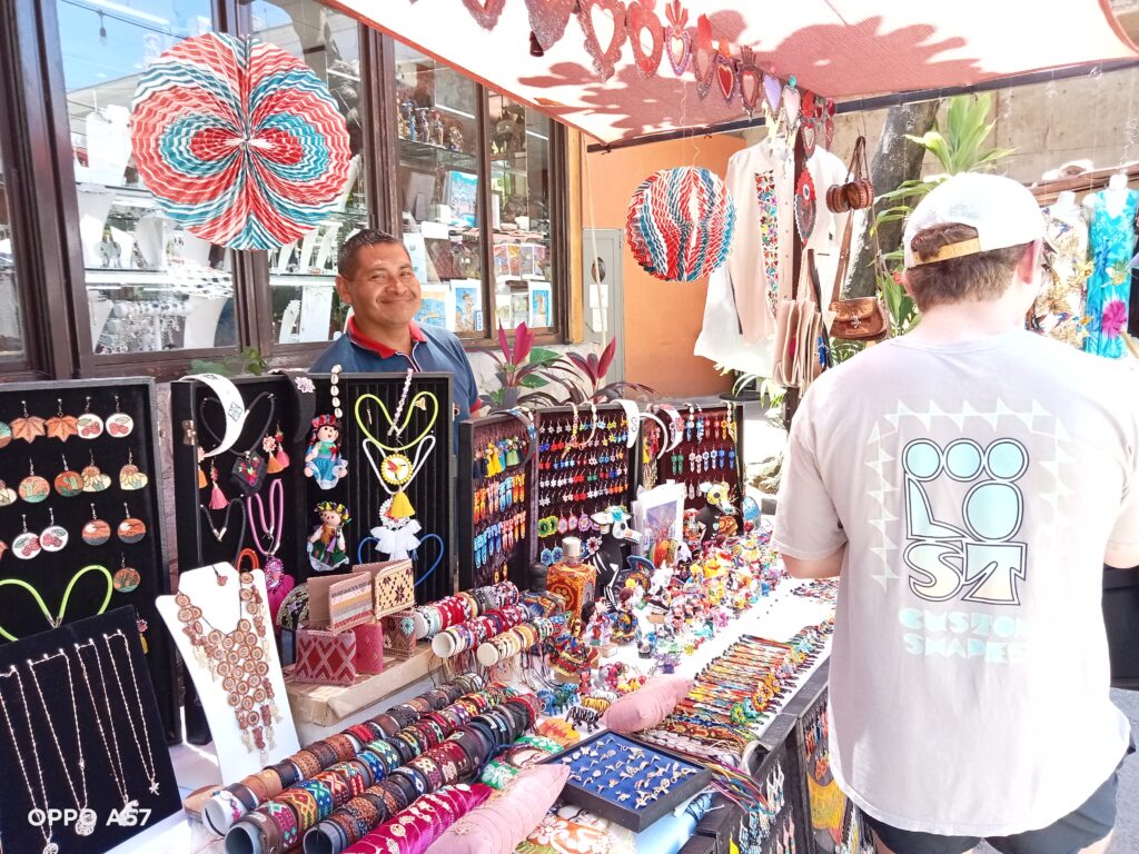 Opción turística en Vallarta