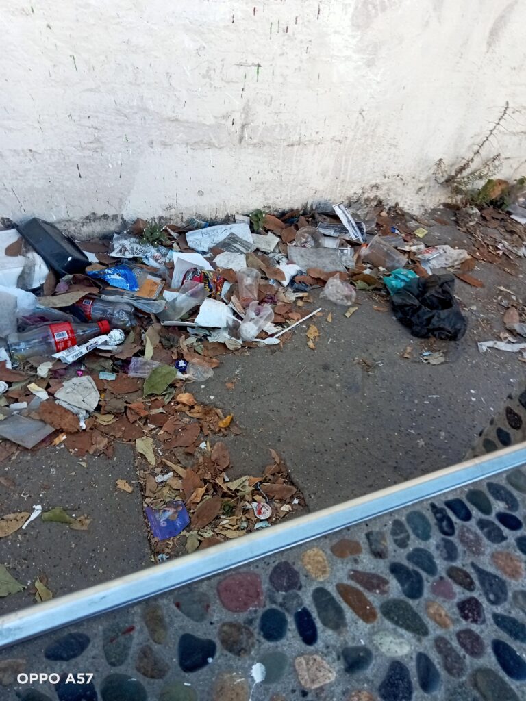 Cuidemos la Belleza de Vallarta: Un Llamado a la Reflexión