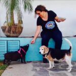 Silvia Álvarez, una defensora del mejor amigo del hombre