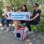 Realizan campañas gratuitas de esterilización y vacunación de mascotas