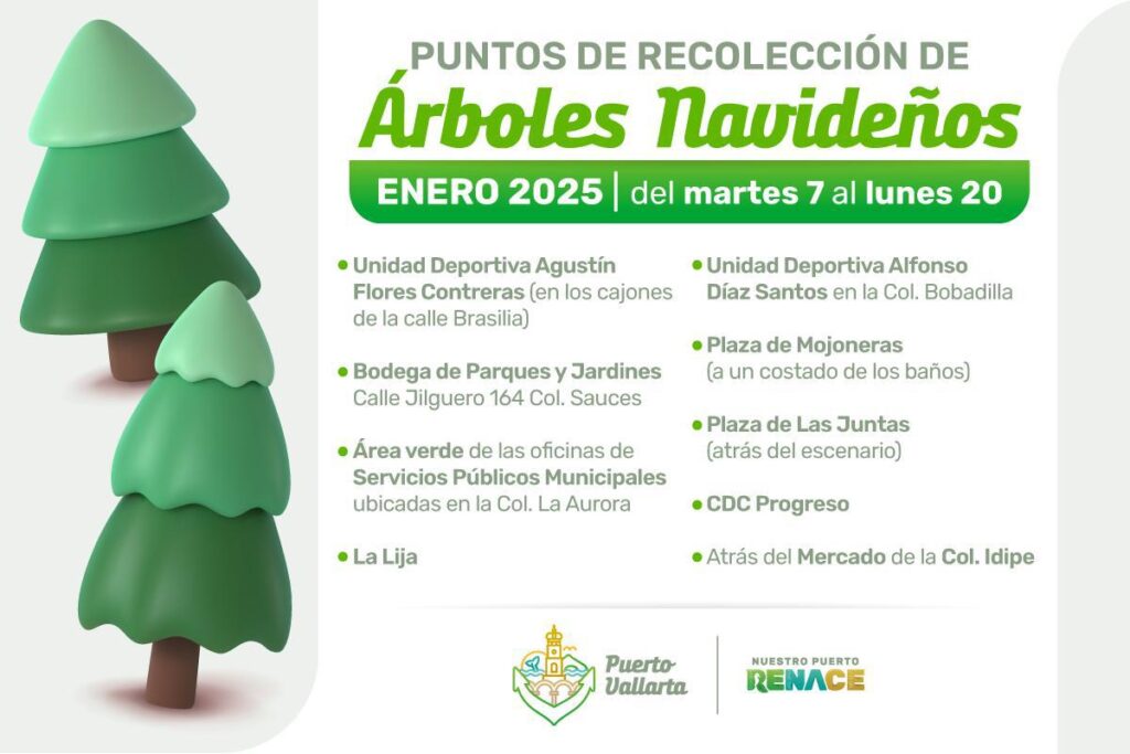 Habrá centros de recolección de pinos naturales