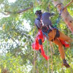Campeonato Mexicano de Trepa de Árboles: Un Éxito en Puerto Vallarta