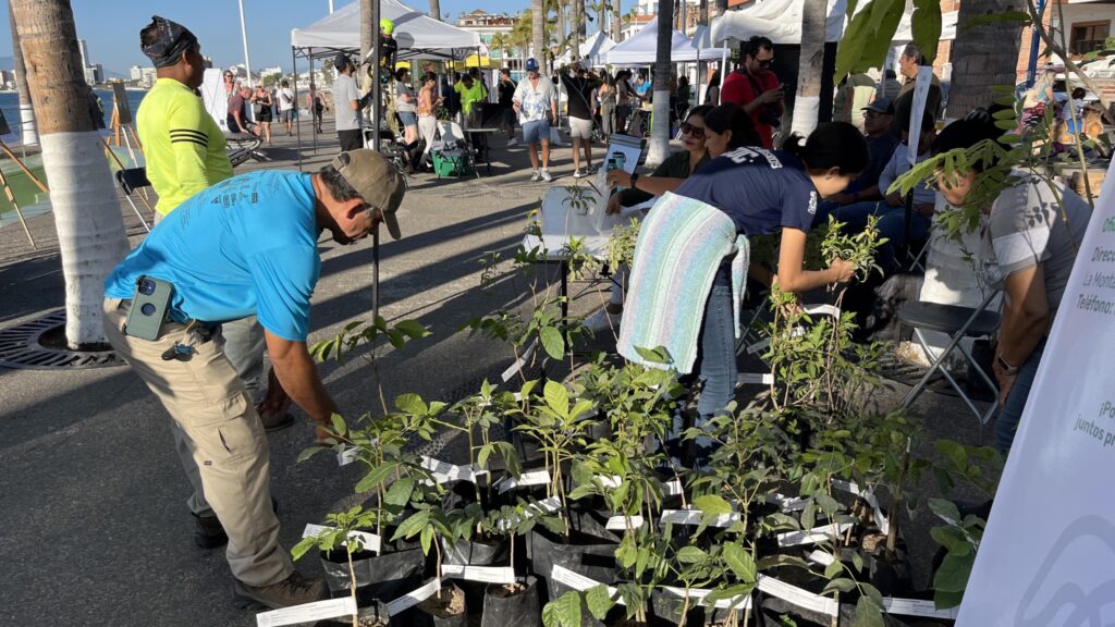 Gobierno del Bien busca que Vallarta sea certificada como una “Ciudad Árbol”