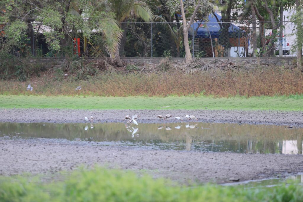 Gobierno de Munguía busca rescatar la Laguna de El Coapinole