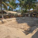 Gobierno de Munguía se prepara para la temporada de anidación de tortugas marinas