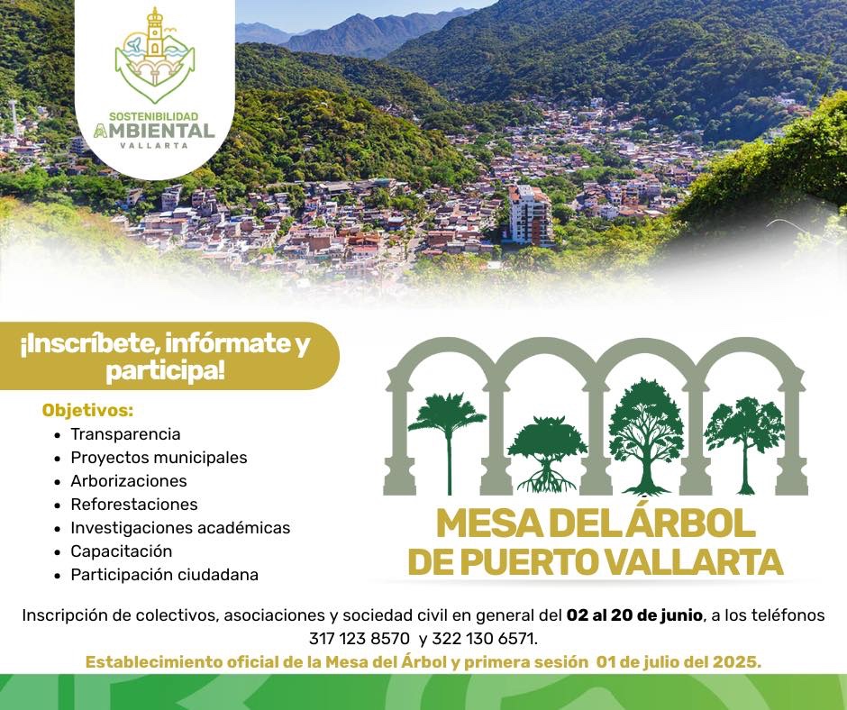 ¡Únete! Participa en la primera Mesa del Árbol de Puerto Vallarta