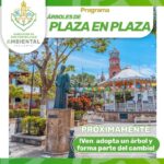Adopta un árbol y haz que Puerto Vallarta sea más verde