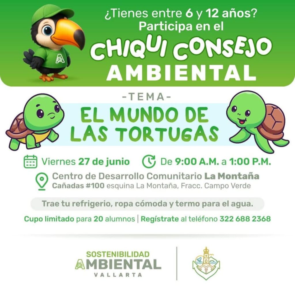 Descubre el mundo de las tortugas en la 3ra edición del ChiquiConsejo Ambiental