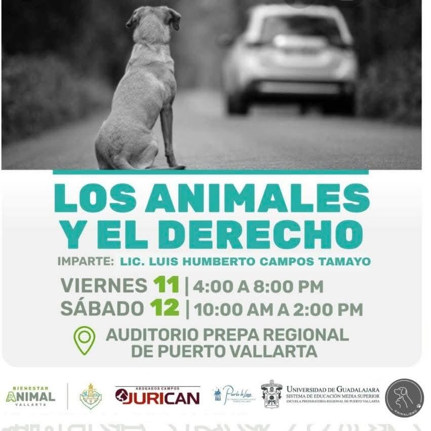 Por un Vallarta libre de crueldad: invitan al taller “Los Animales y el Derecho”
