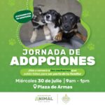 ¡Adopta y transforma una vida! Jornada en Plaza de Armas