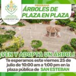Más de 200 árboles adoptados en plazas públicas de Vallarta