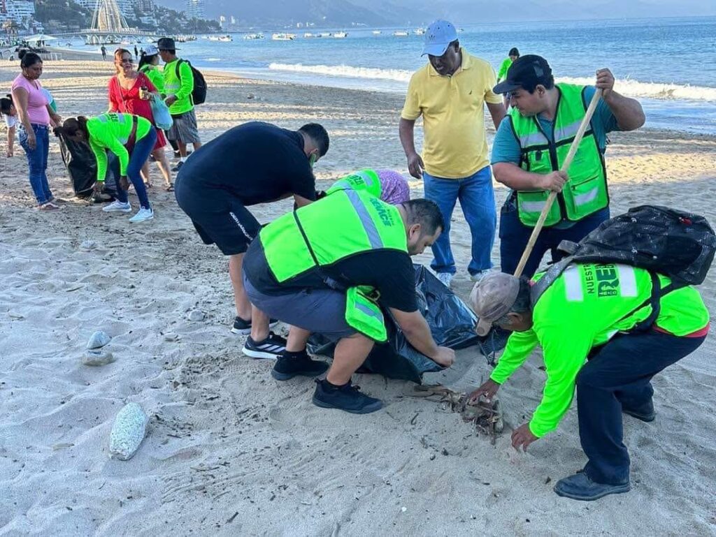 Súmate a la limpieza de playas en Olas Altas y Camarones