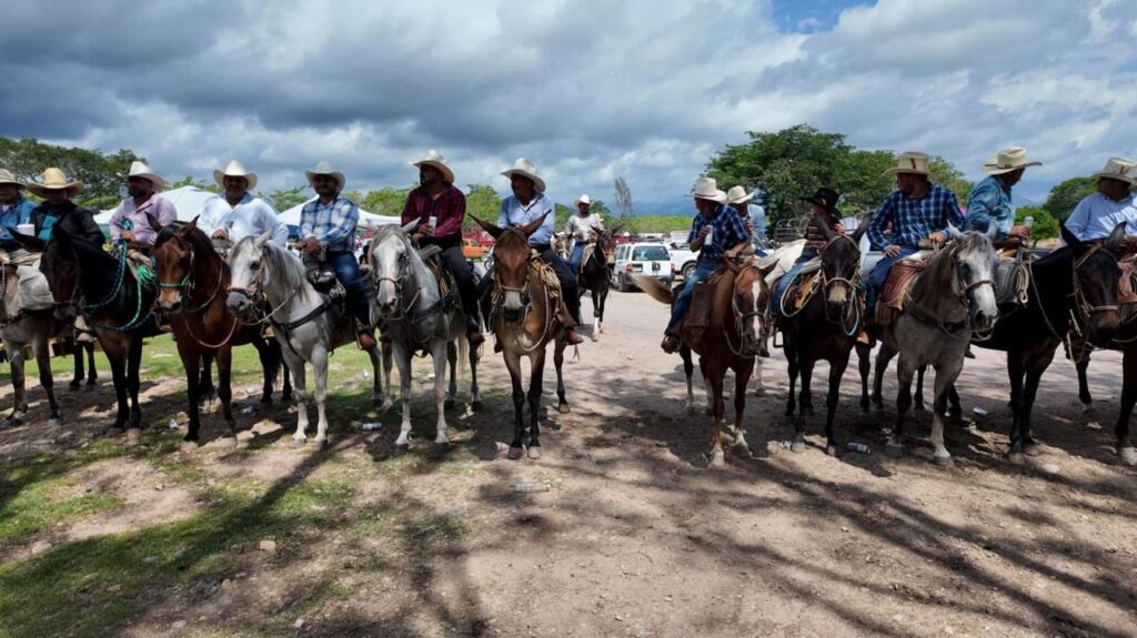 Más de 15 mil asistentes disfrutaron de las paseadas de Las Palmas