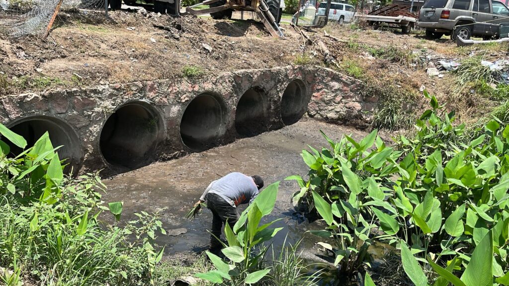El Gobierno del Bien refuerza trabajos de desazolve en la vena del Río Pitillal