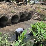 El Gobierno del Bien refuerza trabajos de desazolve en la vena del Río Pitillal