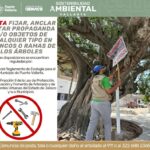 Gobierno del Bien retira publicidad en árboles de Vallarta