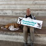 Bienestar Animal supera las 3 mil 300 esterilizaciones gratuitas