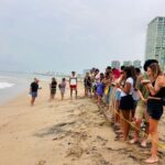 ¡Cuidemos juntos a las tortugas marinas en Puerto Vallarta!