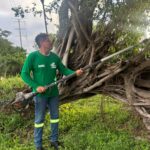 El Gobierno del Bien retira árboles caídos en zonas afectadas por inundaciones