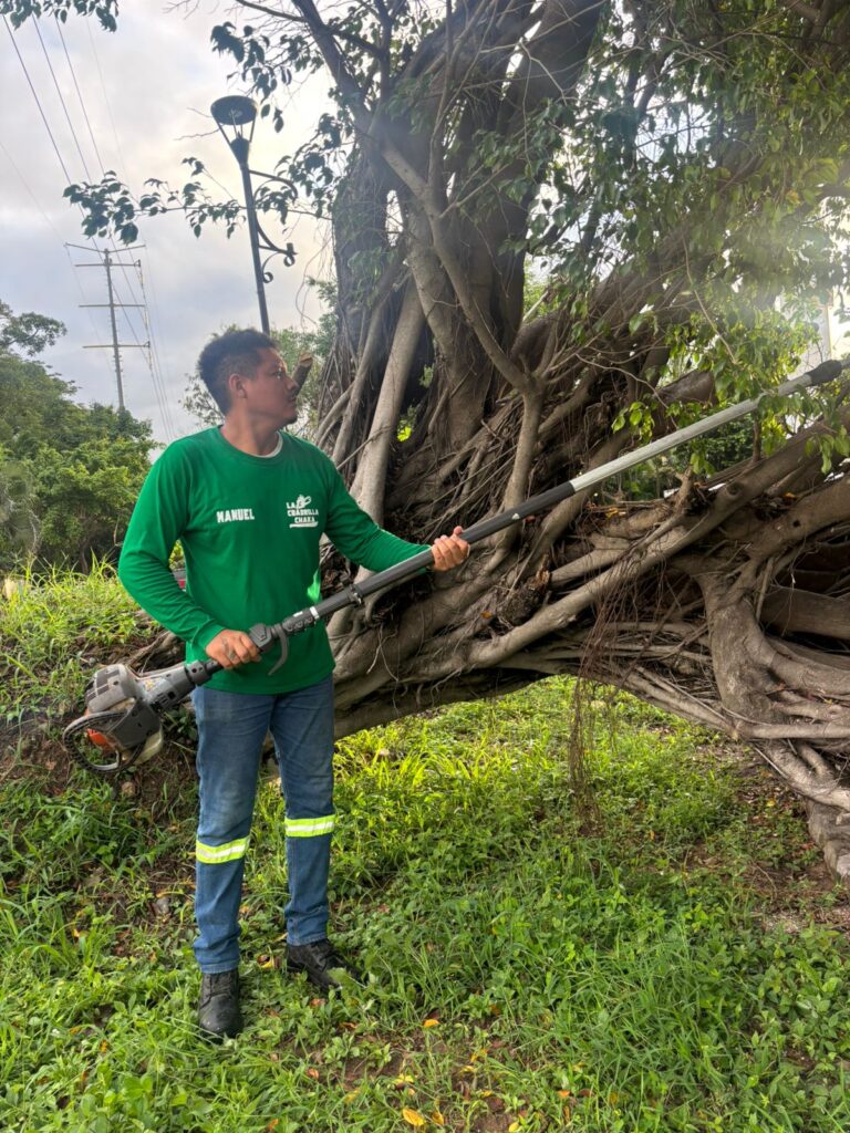 El Gobierno del Bien retira árboles caídos en zonas afectadas por inundaciones