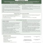 Convocan a formar parte de la nueva generación de Policía Certificada en Puerto Vallarta