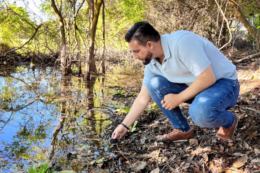 Gobierno de Munguía prioriza la conservación de la Tortuga Casquito en Vallarta