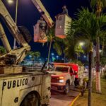 Gobierno del Bien realiza poda de palmeras en camellones de la Av. Medina Ascencio para prevenir accidentes