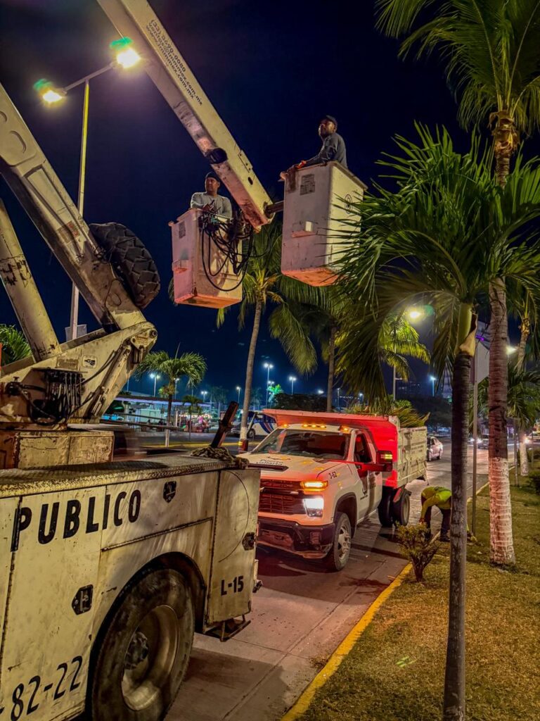 Gobierno del Bien realiza poda de palmeras en camellones de la Av. Medina Ascencio para prevenir accidentes