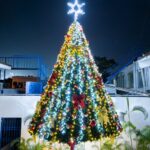 Brilla la Navidad en SEAPAL Vallarta con emotiva ceremonia de encendido