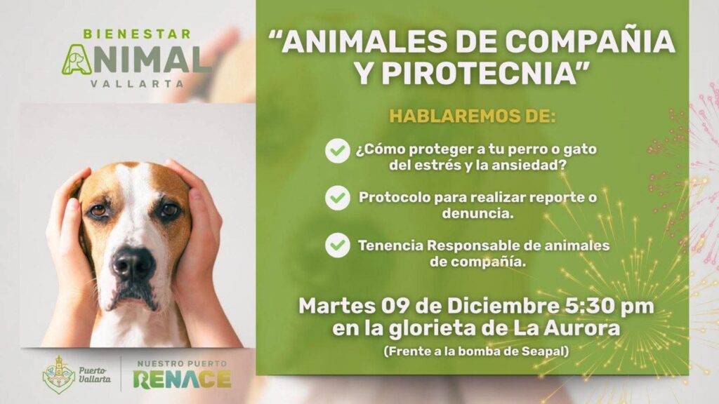 Gobierno del Bien enseñará cómo proteger a los animales ante la pirotecnia