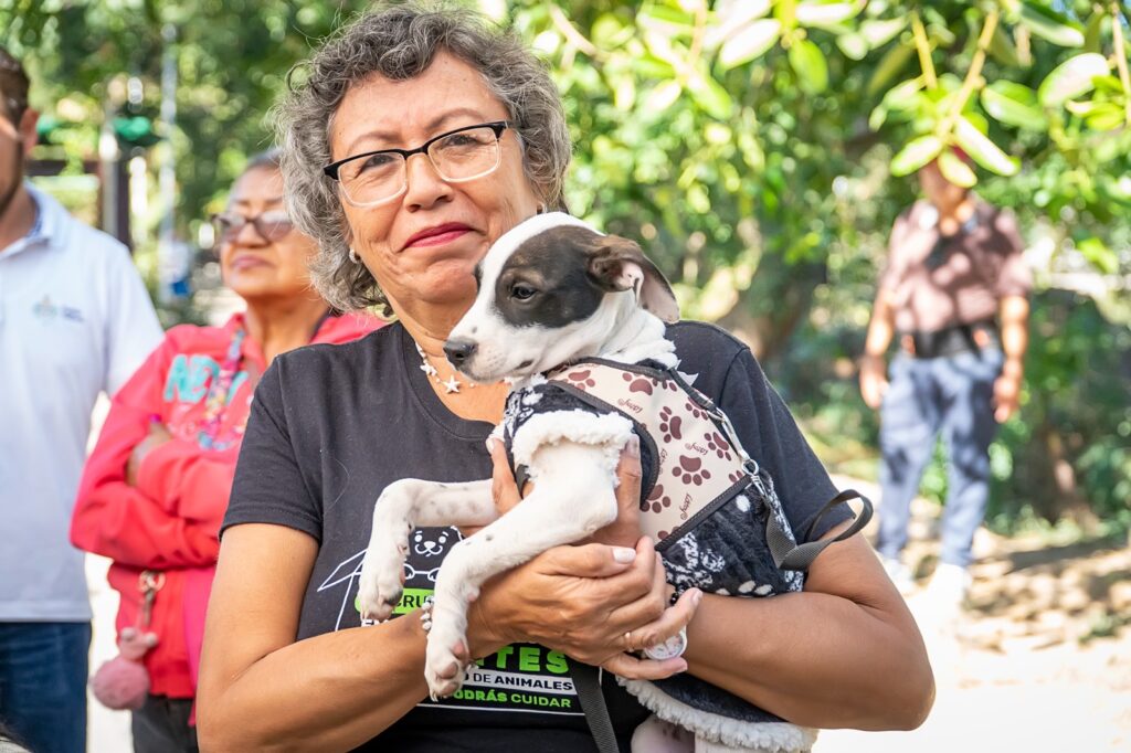 Ayuntamiento autoriza reformas para evitar impunidad en casos de maltrato animal