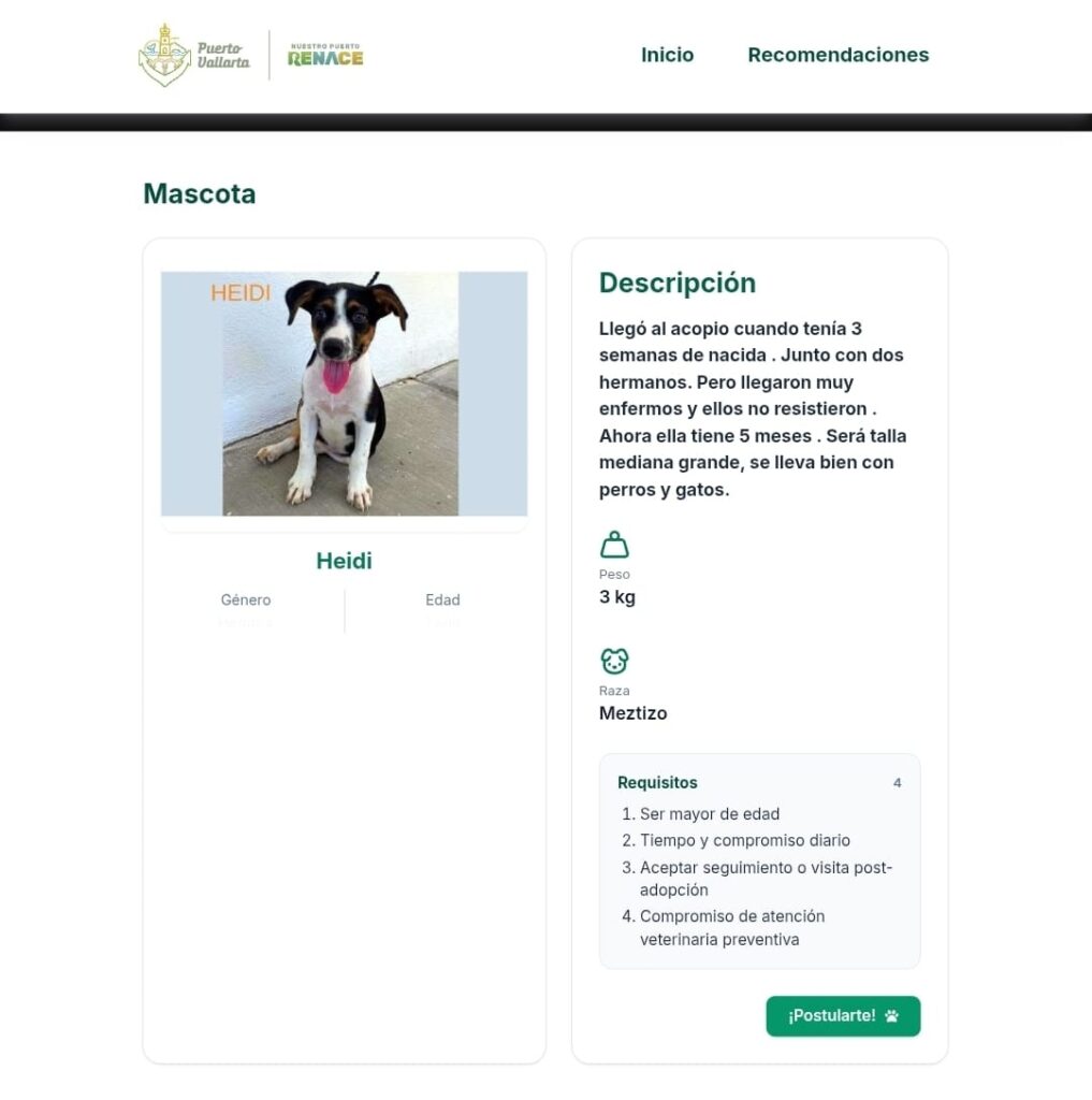 ¡Conoce la plataforma web de adopción animal del Gobierno del Bien!