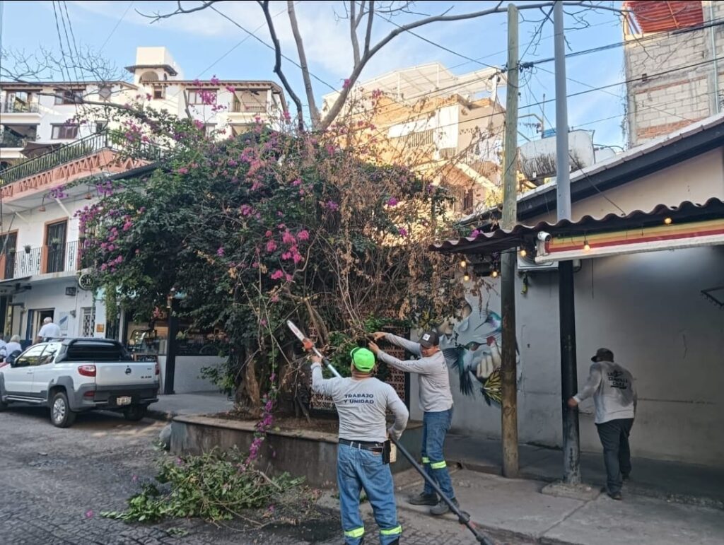 Refuerzan iluminación y limpieza en el Centro y Zona Romántica