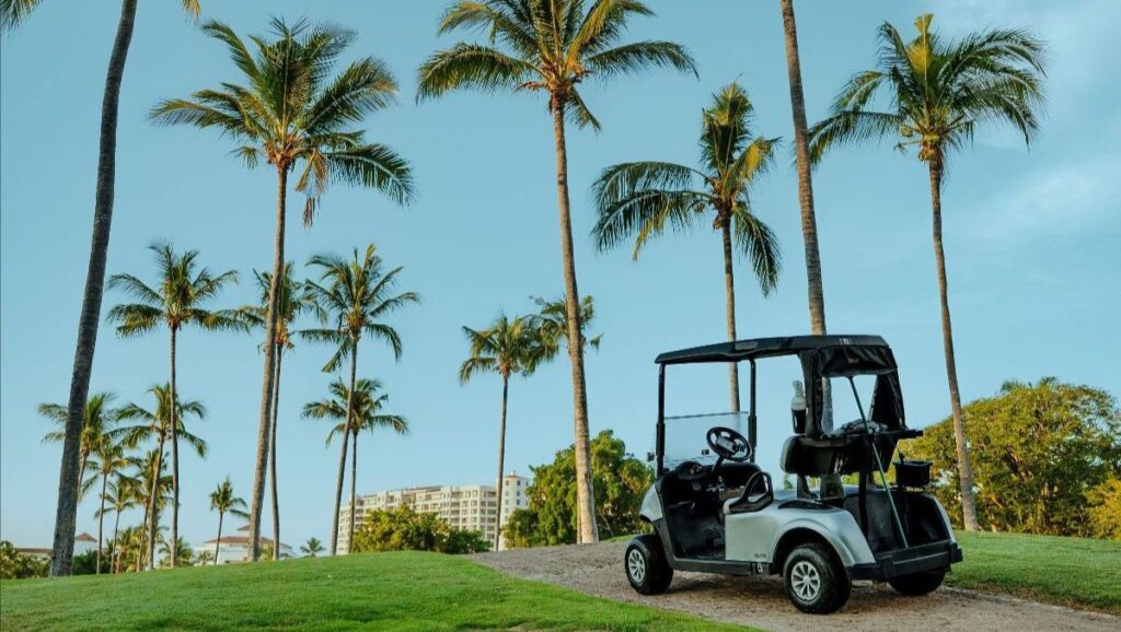 Campos de golf de Puerto Vallarta entre los mejores de México