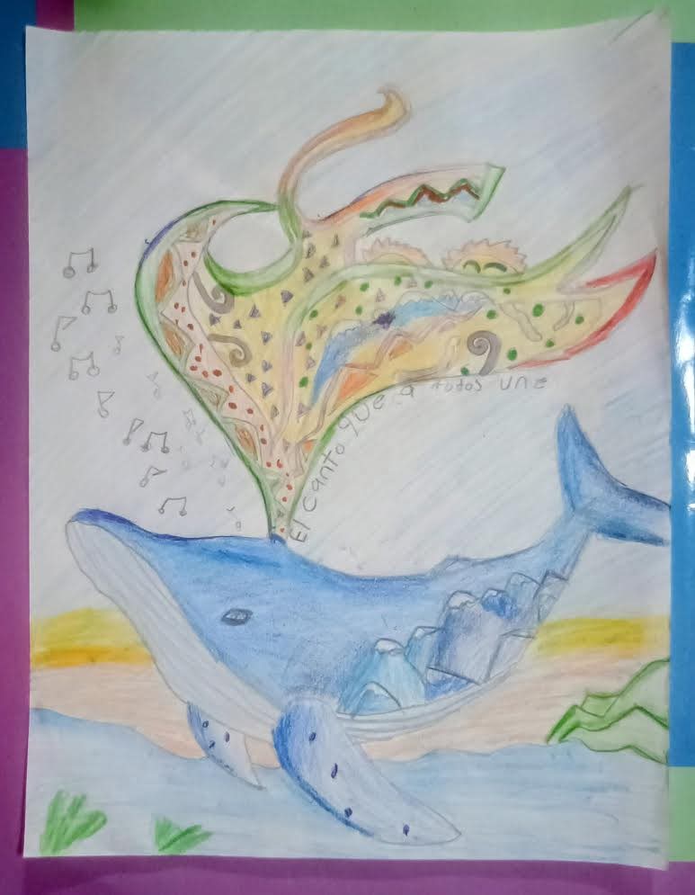 Concurso «Ballenas de Nuestro Puerto» premia a estudiantes destacados por su creatividad