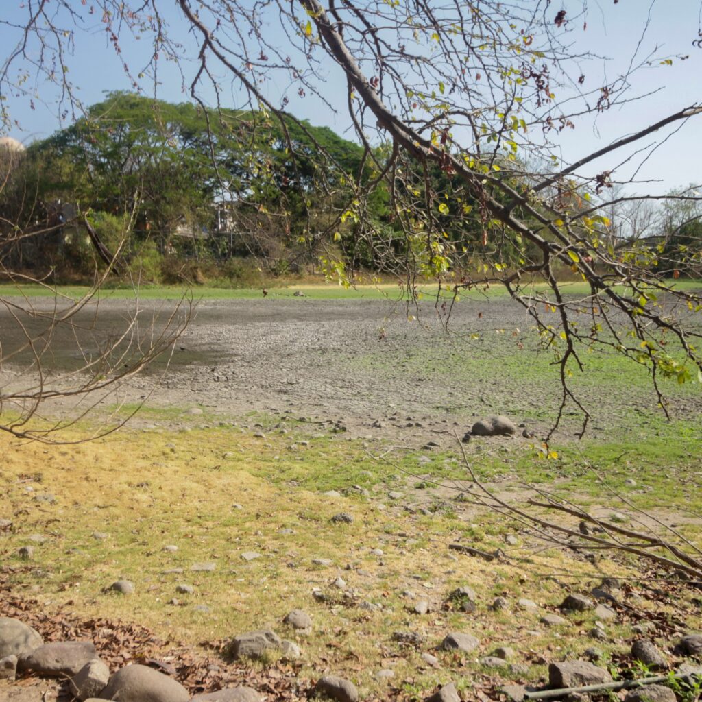 Descartan crisis ambiental en la Laguna del Coapinole