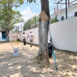 Mejora programa “Mi Escuela Renace” 19 planteles educativos de Puerto Vallarta
