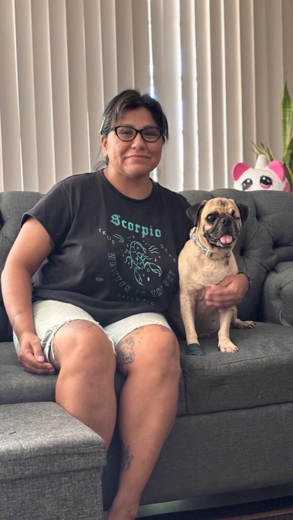 Kato, el perro pug, encontró un hogar gracias al trabajo de Bienestar Animal de Vallarta