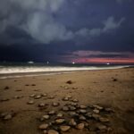 Preparan corral de incubación para próxima temporada de anidación de tortugas marinas