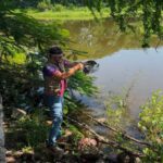 Sostenibilidad Ambiental rescata cuatro tortugas casquito de Vallarta en la Laguna del Coapinole