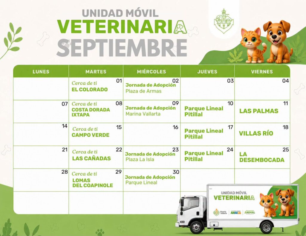 Continúan las esterilizaciones gratuitas en Puerto Vallarta
