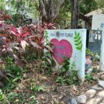 Un rincón de amistad florece entre la naturaleza de la Isla del Río Cuale