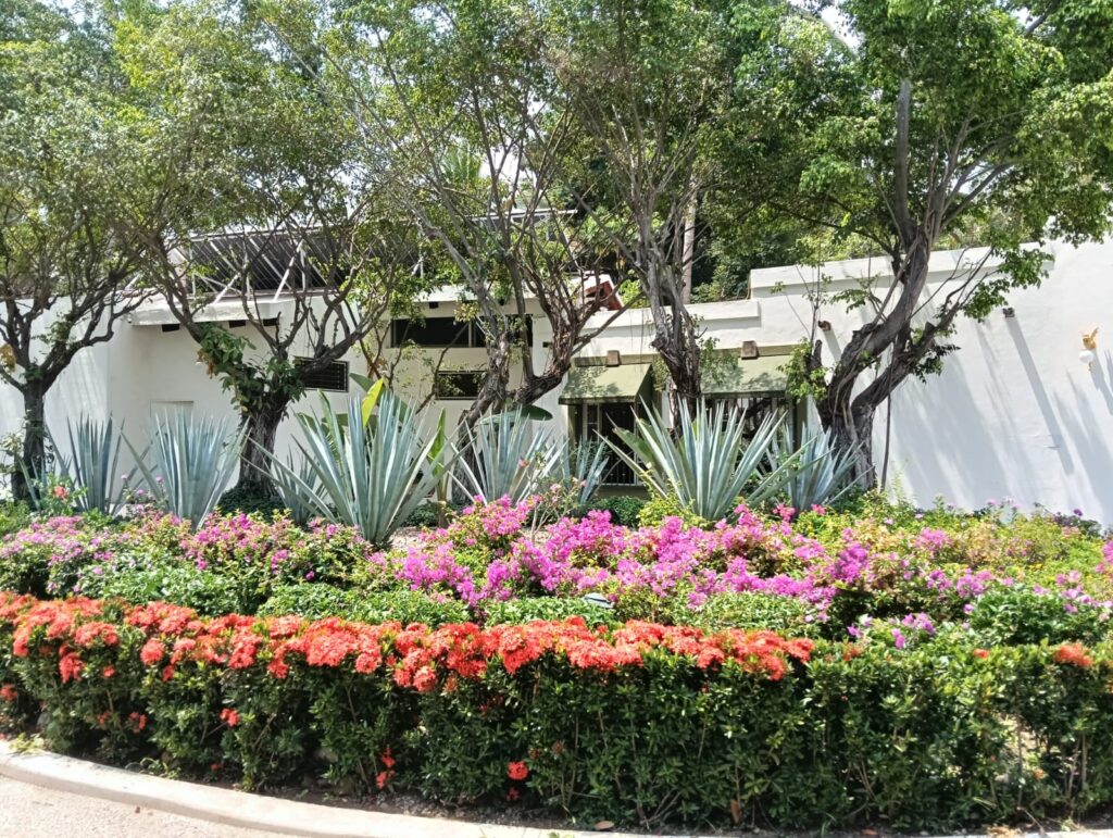 Vallarta también se disfruta entre flores, árboles y rincones llenos de vida