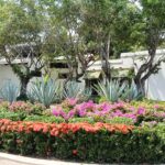 Vallarta también se disfruta entre flores, árboles y rincones llenos de vida